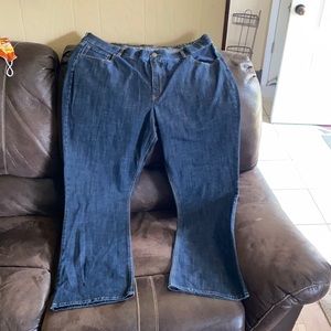 Mid-Rise Riders by Lee